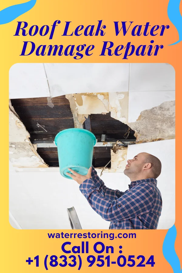 Roof Leak Water Damage Repair in Hood River, OR